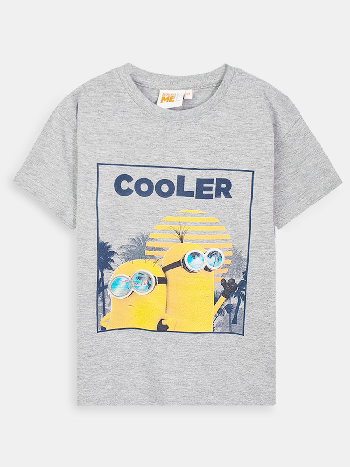 Boys Despicable Me Printed T-Shirt