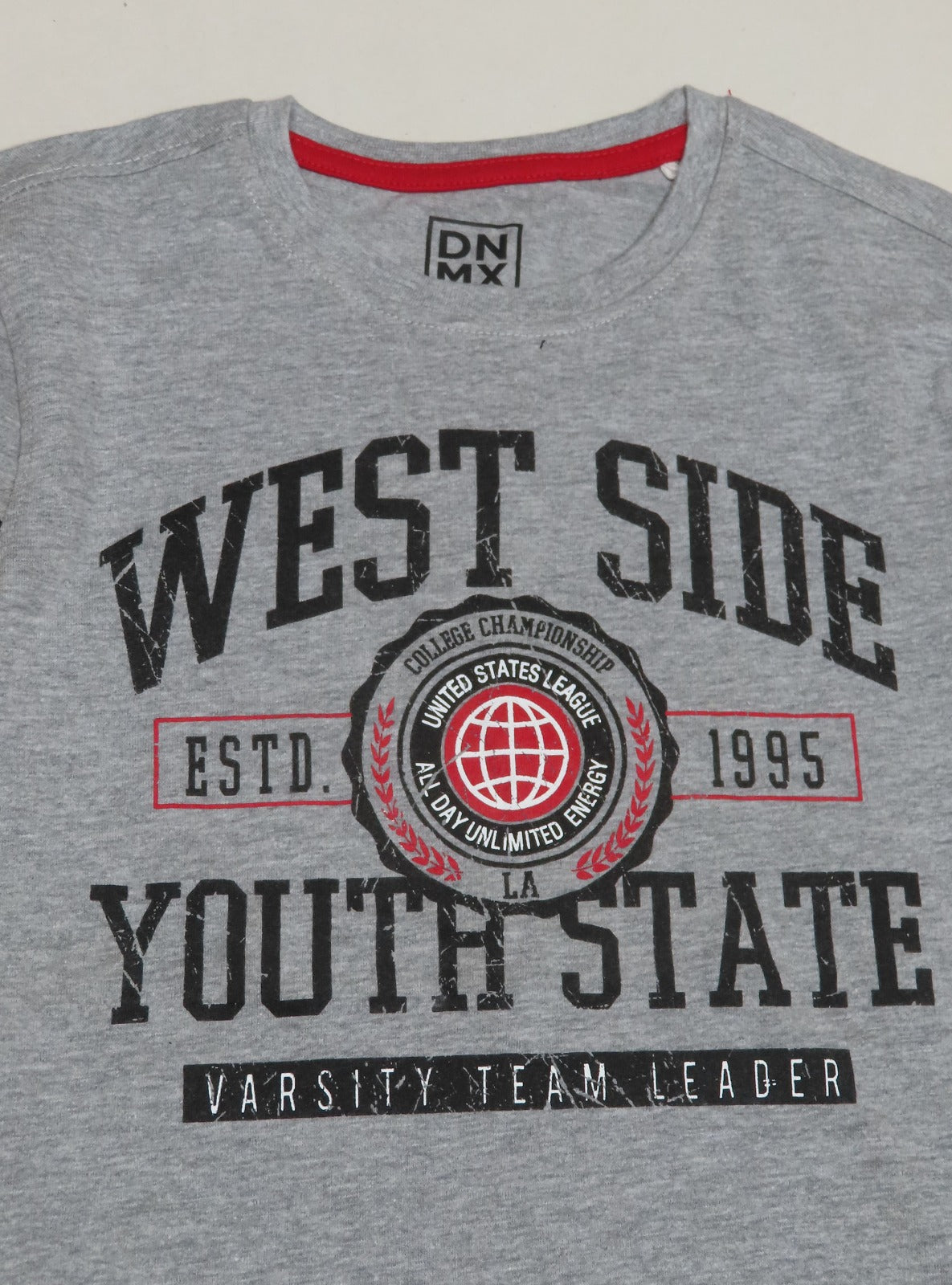 Boys Printed T Shirt