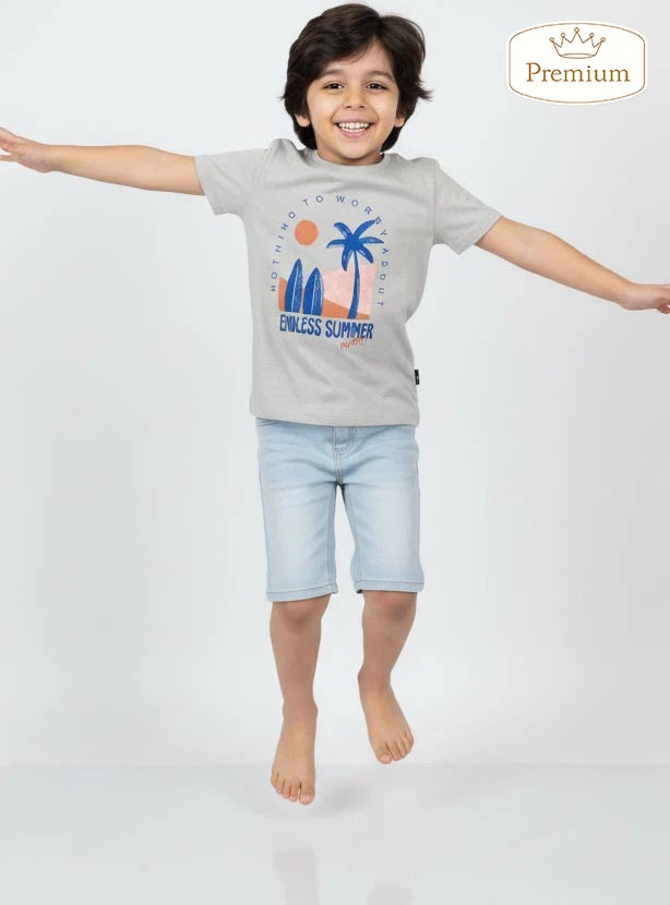 Boys Printed Light Grey T-Shirt