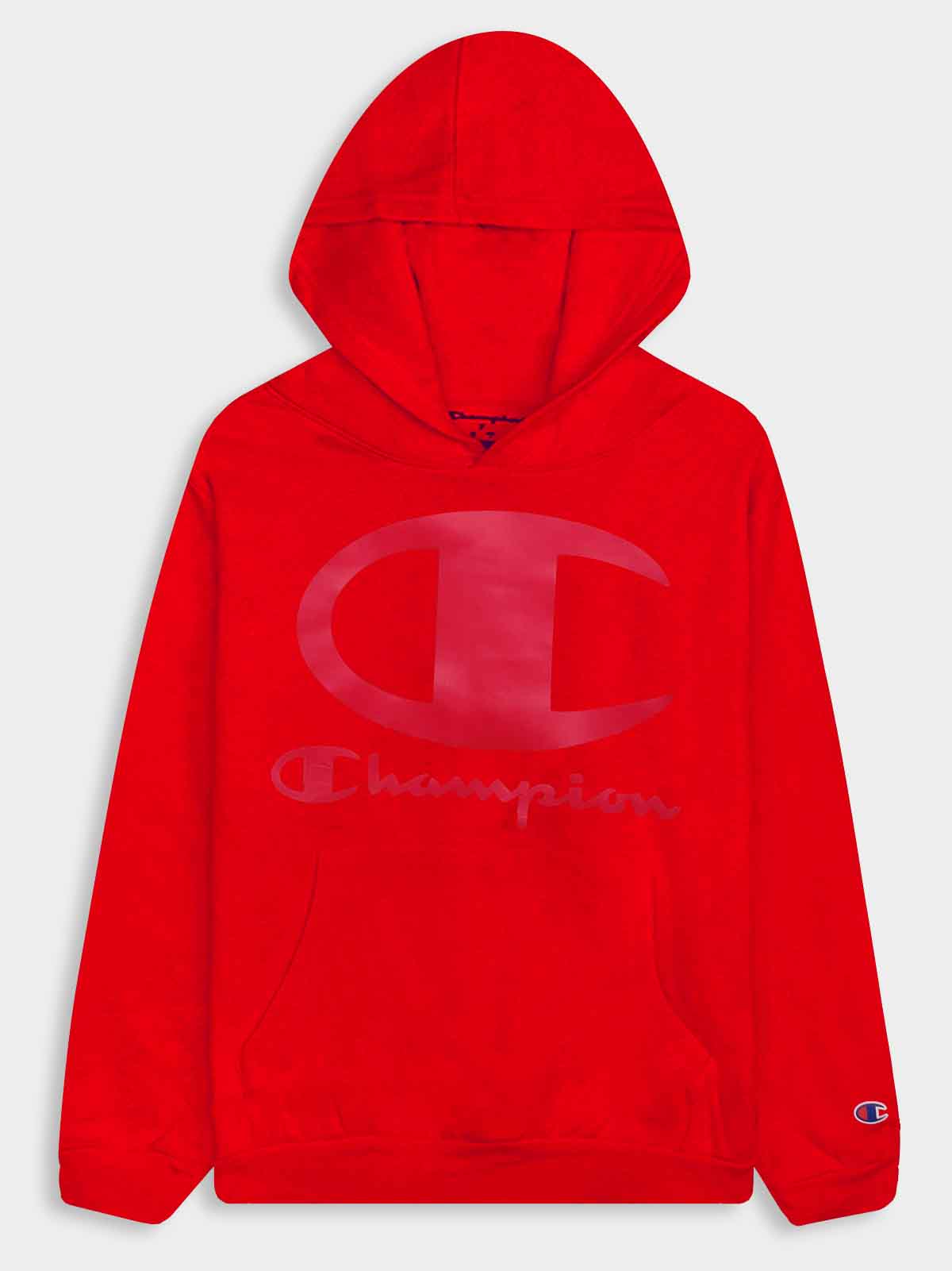Boys Hooded Fleece Sweatshirts