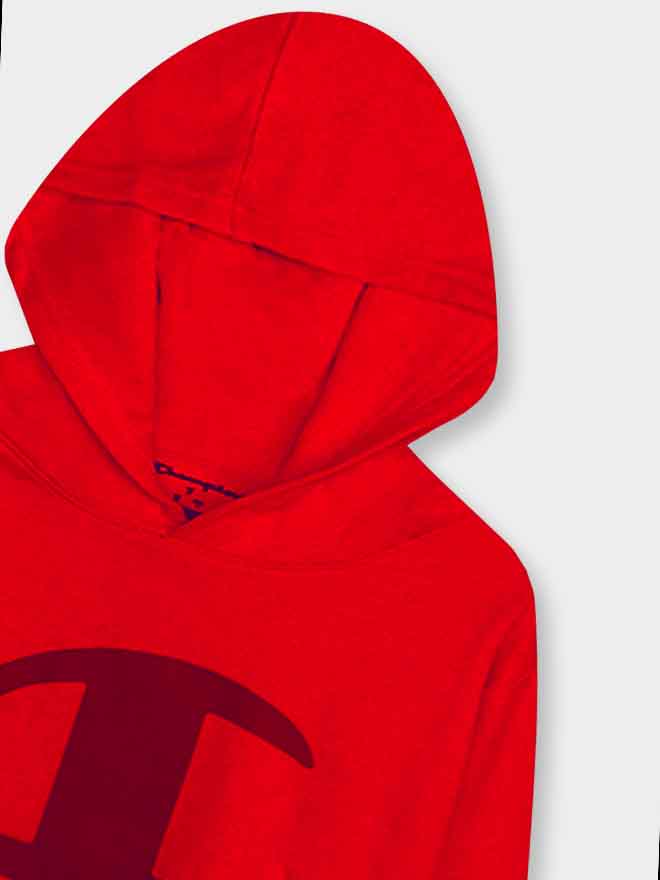 Boys Hooded Fleece Sweatshirts