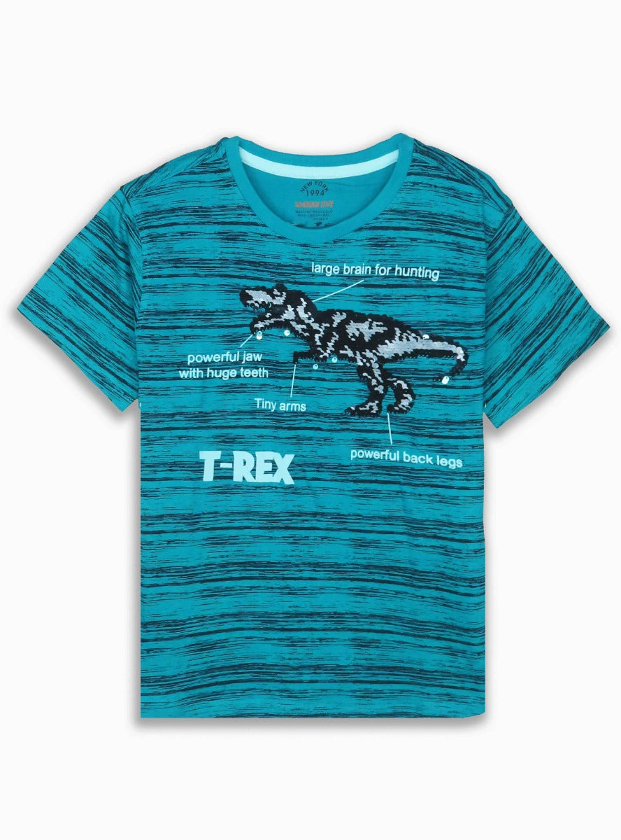 Boys Flippy Sequin T Shirts