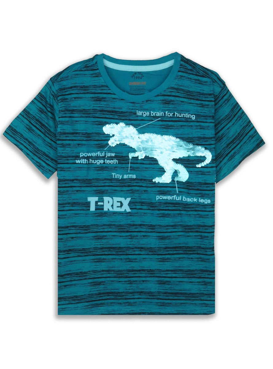 Boys Flippy Sequin T Shirts