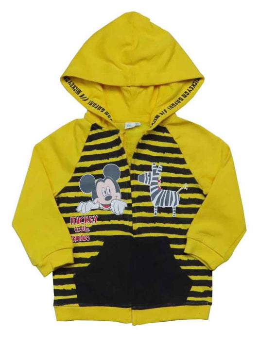 Baby Boys Hooded Full Zipper Sweatshirt