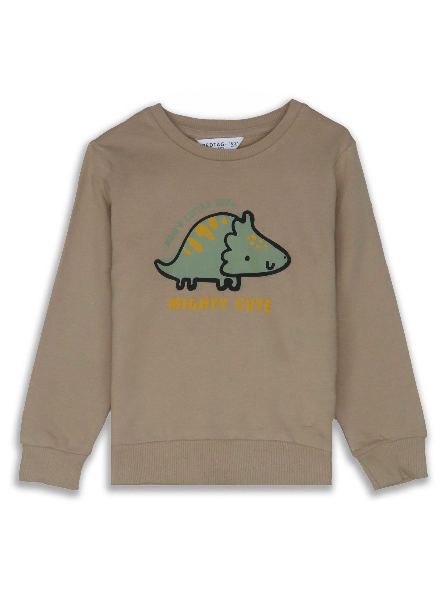 Baby Boys Pullover Beige Sweatshirt