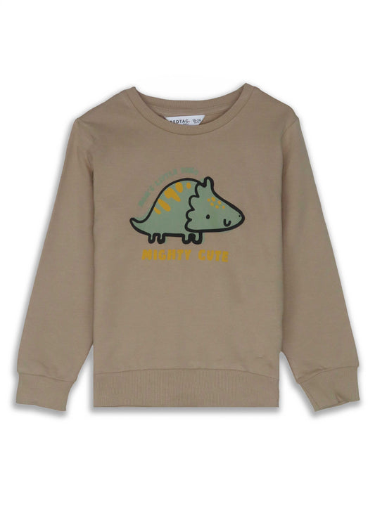 Baby Boys Pullover Beige Sweatshirt