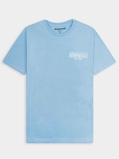 Aeropostale_Mens_Printed_T-Shirt_Wholesaler_retailer_M11152Kfront