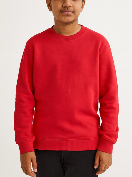 Boys Pullover Fleece Sweatshirt