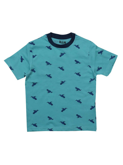 Boys Printed T Shirt