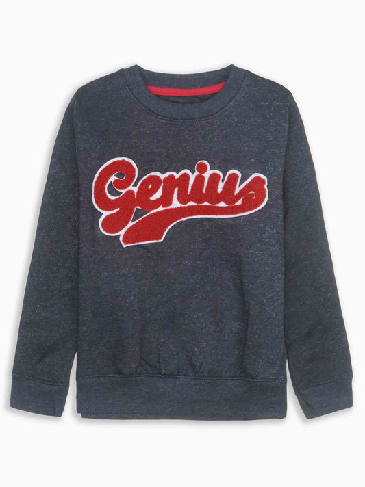 Boys Fleece Applique Pullover Sweatshirt