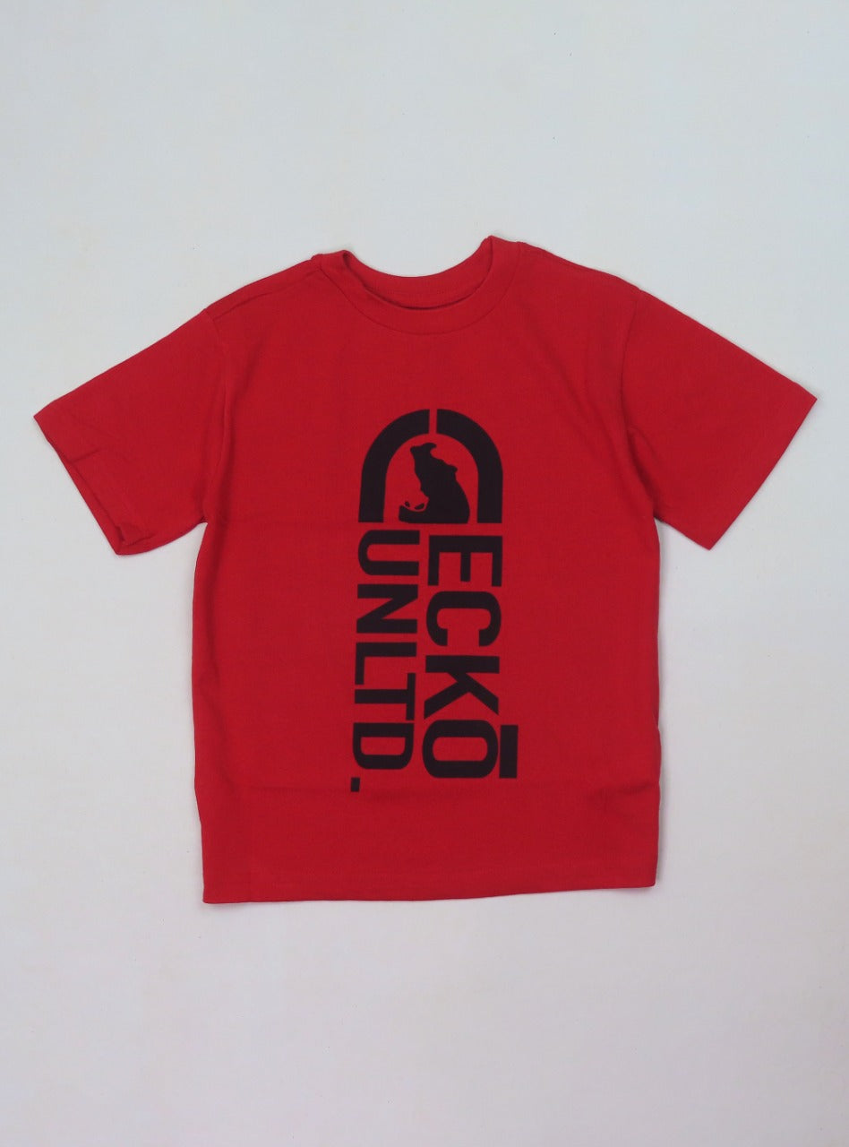 Boys Printed T Shirt