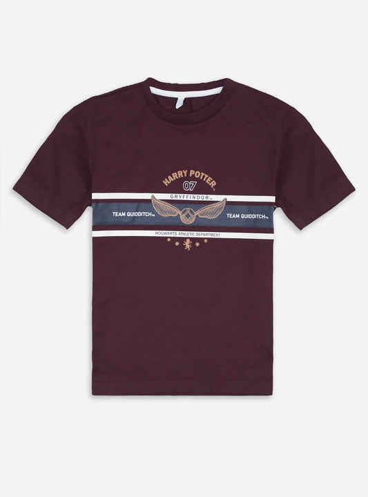 Boys Burgundy T Shirt