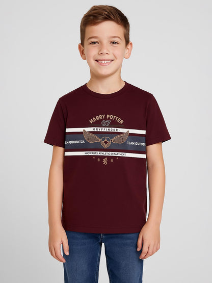 Boys Burgundy T Shirt
