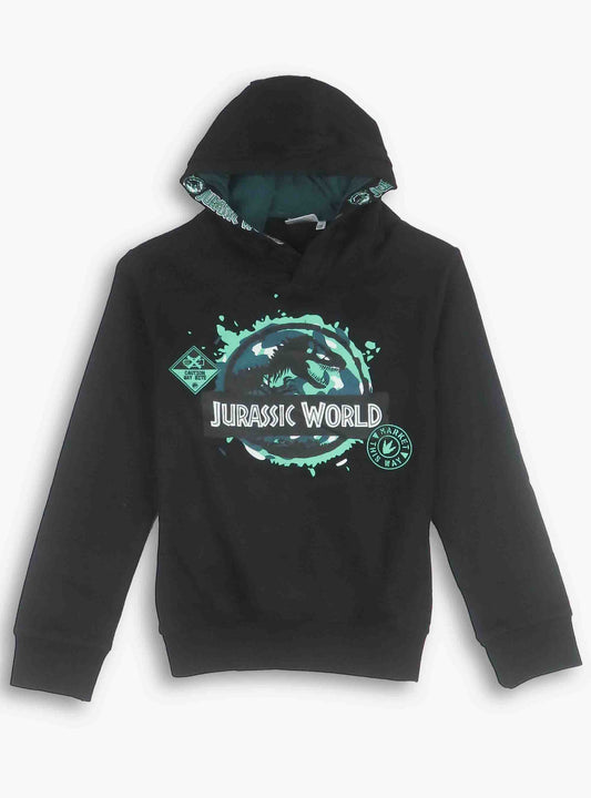 Boys Hooded Pullover Sweatshirt