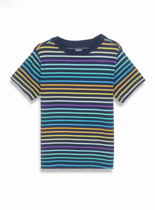 Boys Multi Striped T Shirt