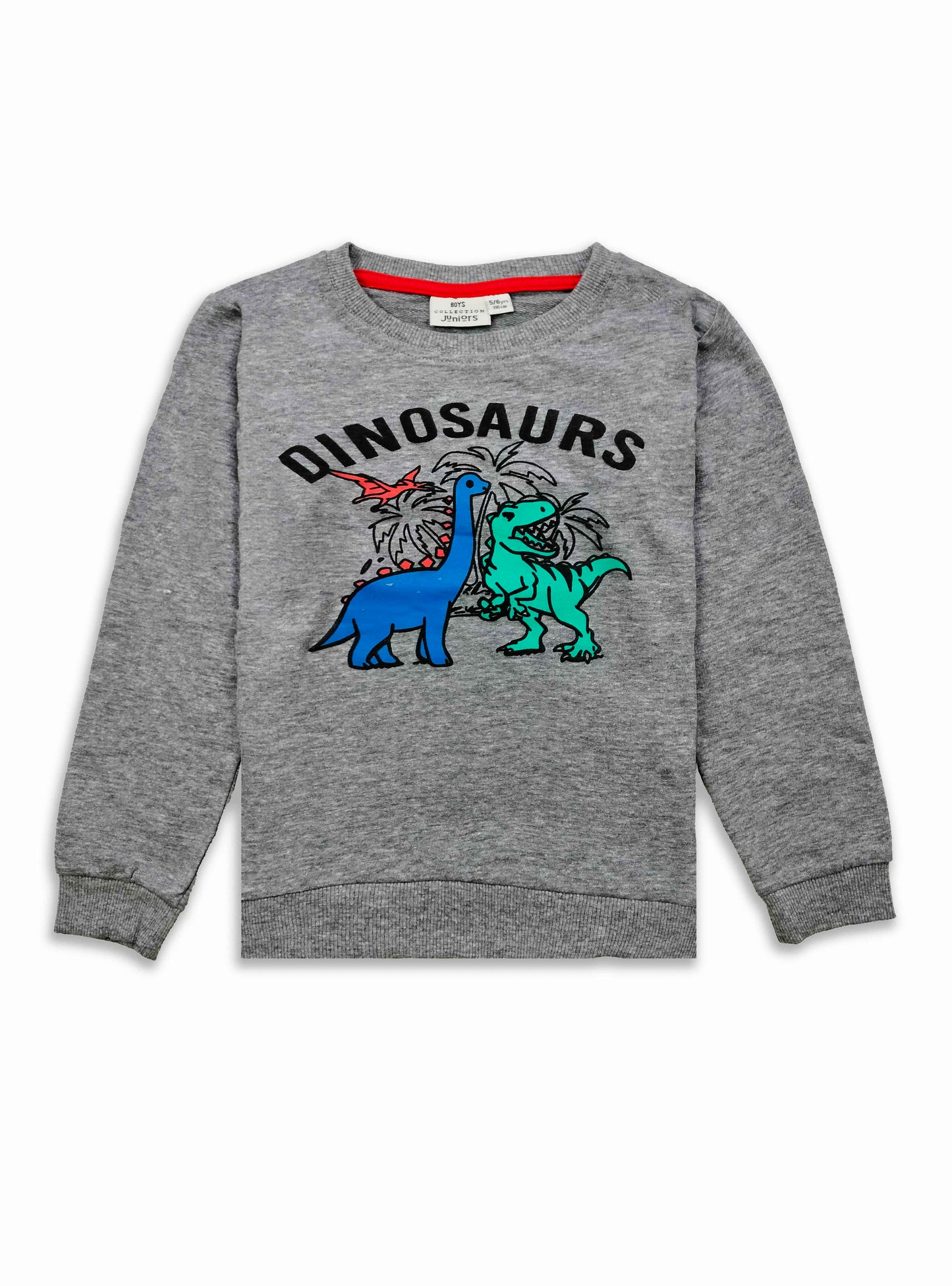 Boys Printed Pullover Sweatshirt