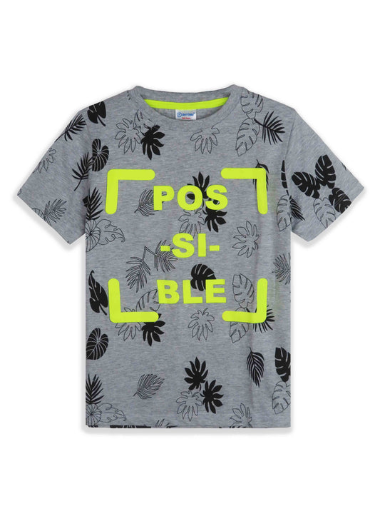 Boys Grey Possible Printed T-Shirt