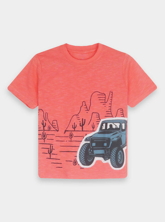 Boys Printed n Applique T-Shirt