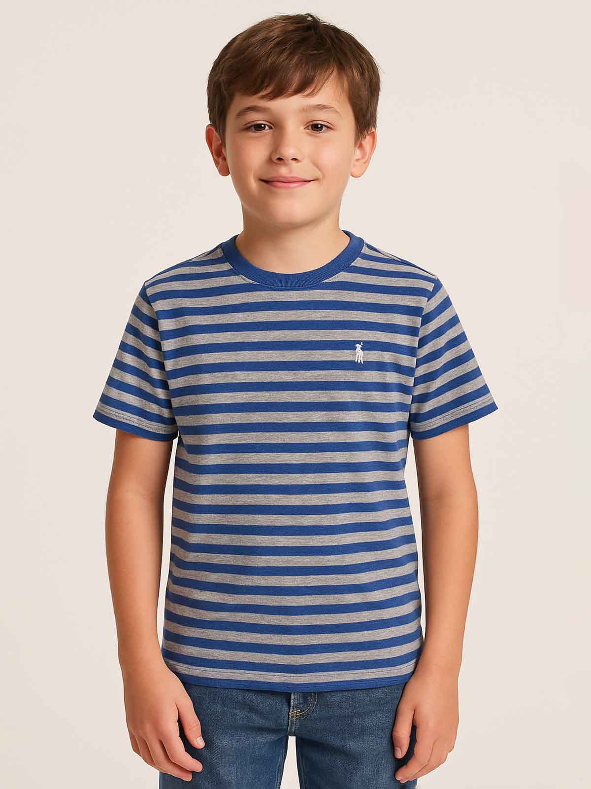 Boys Navy Striped T Shirts