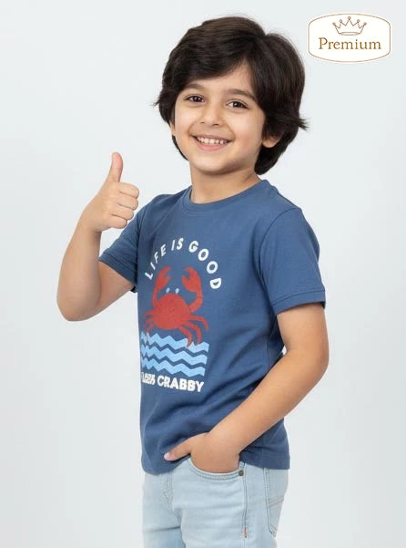 Boys Printed Blue T-Shirt