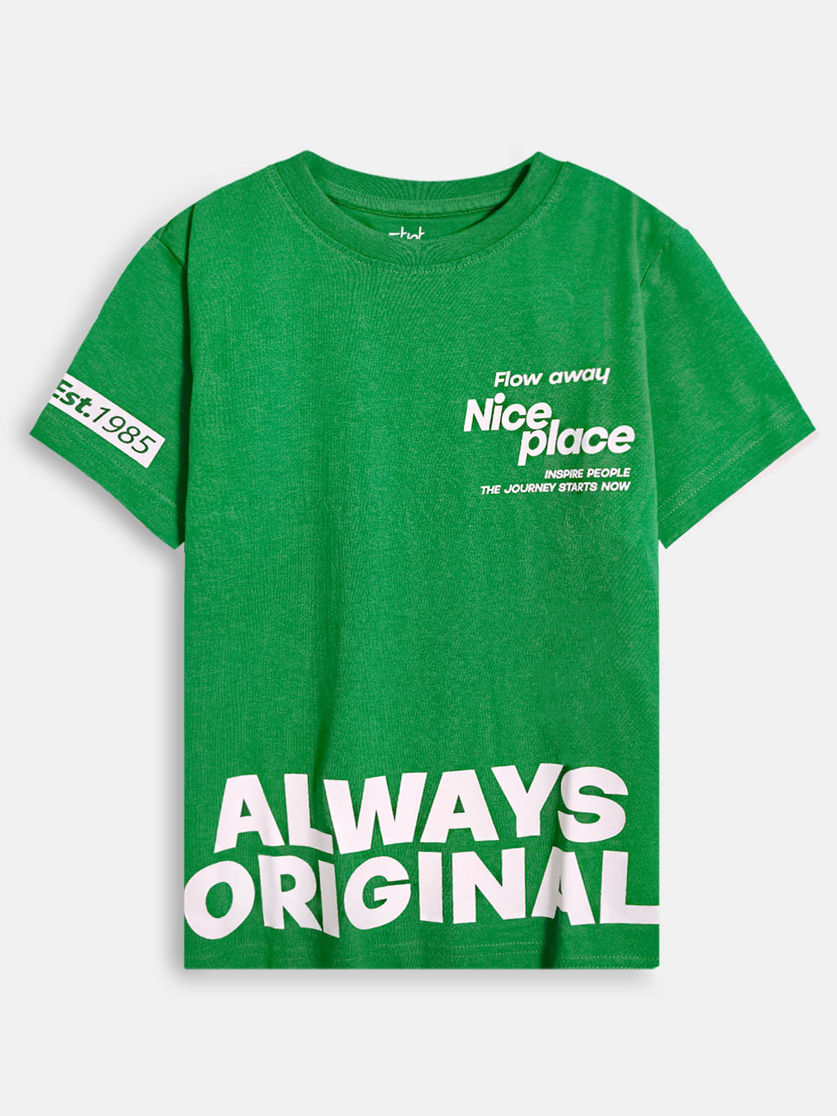 Boys Printed Green T-Shirt