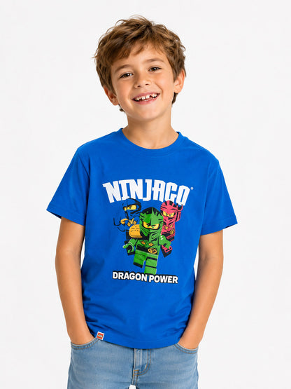 Boys Printed  BlueT-Shirt