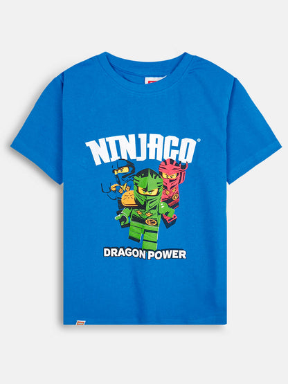 Boys Printed  BlueT-Shirt