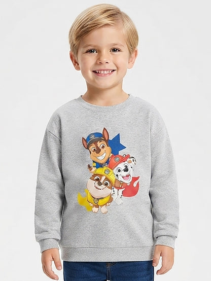 Boys Grey Printed Sweatshirt