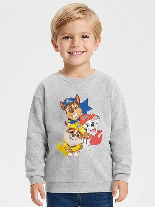 Boys Grey Printed Sweatshirt