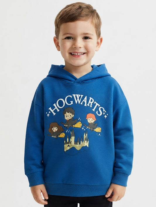 Boys Hooded Pullover