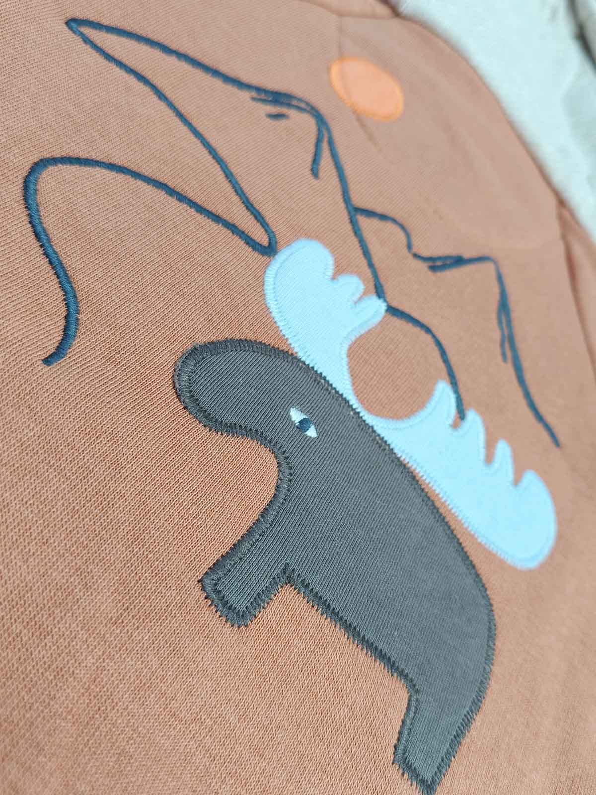 Baby Boys Fleece Hooded Sweatshirt