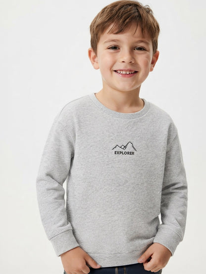 Boys Crew Neck Grey Pullover