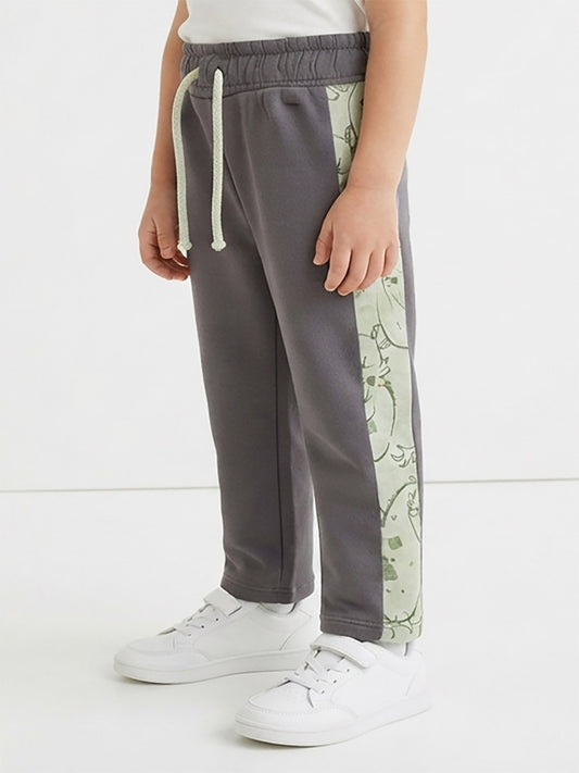 Baby Boys Grey Sweat Pant