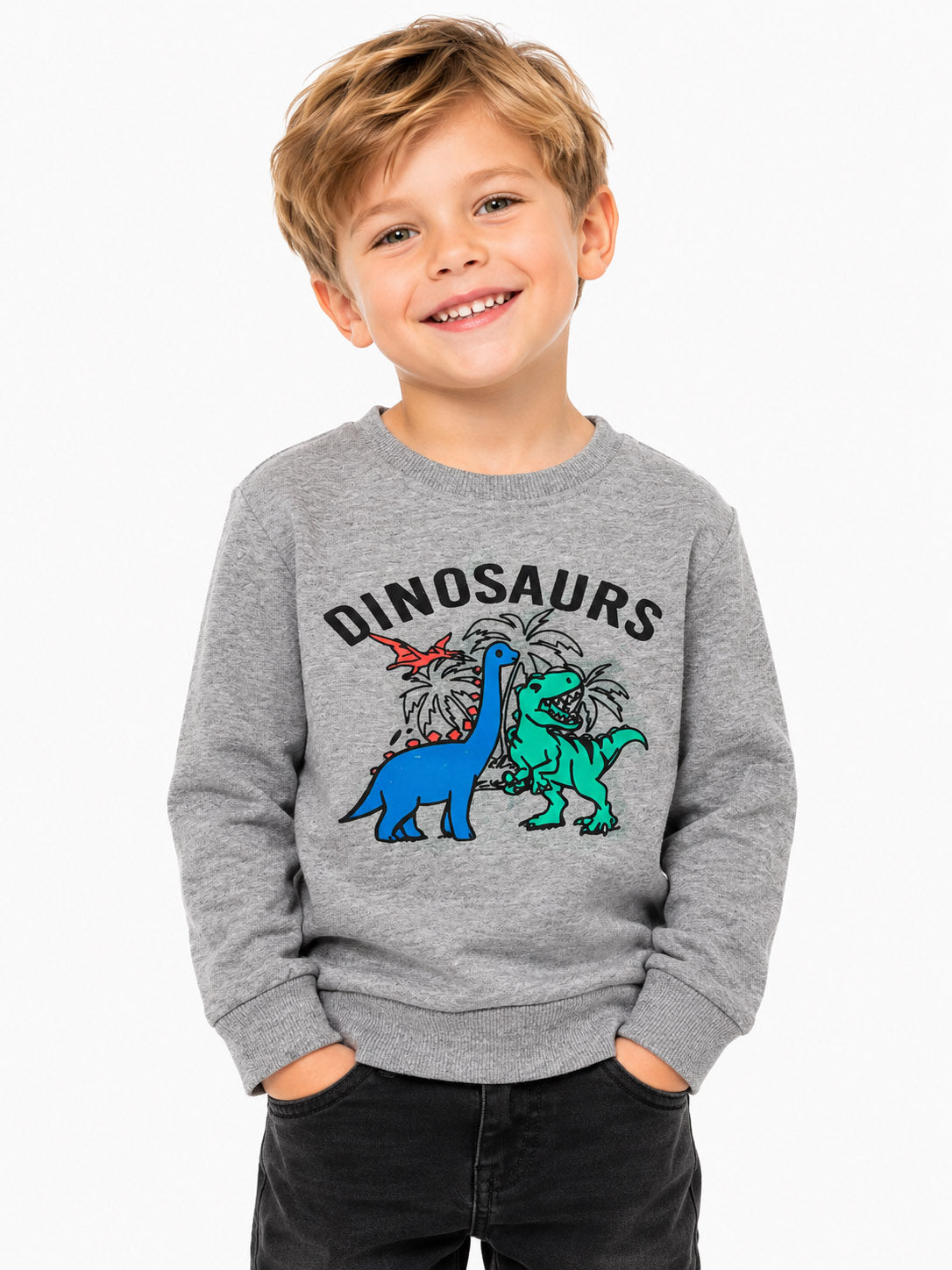 Boys Printed Pullover Sweatshirt