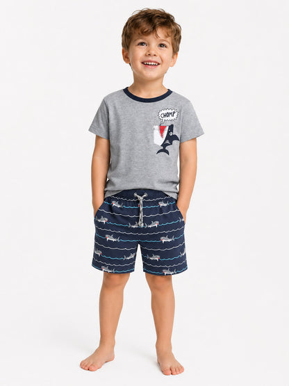 Boys Printed 2 PC Sets Grey