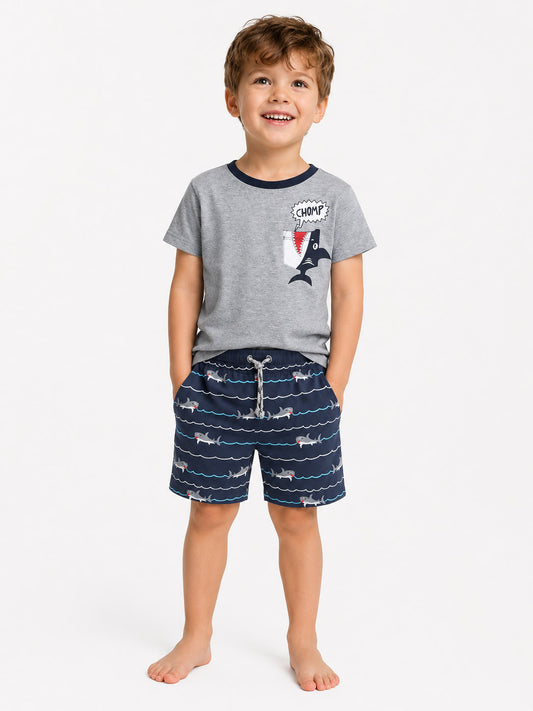 Boys Printed 2 PC Sets Grey