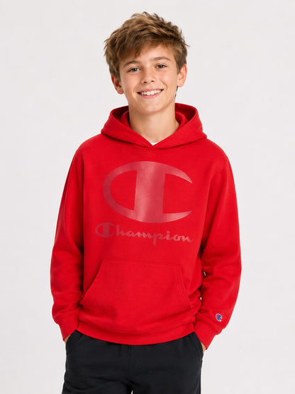 Boys Hooded Fleece Sweatshirts