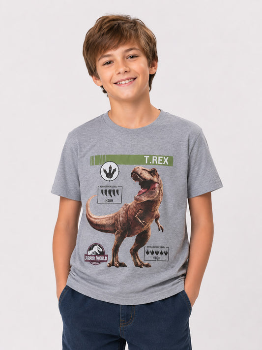 Boys Printed T Shirt