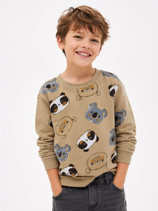 Boys Pullover Beige Sweatshirt