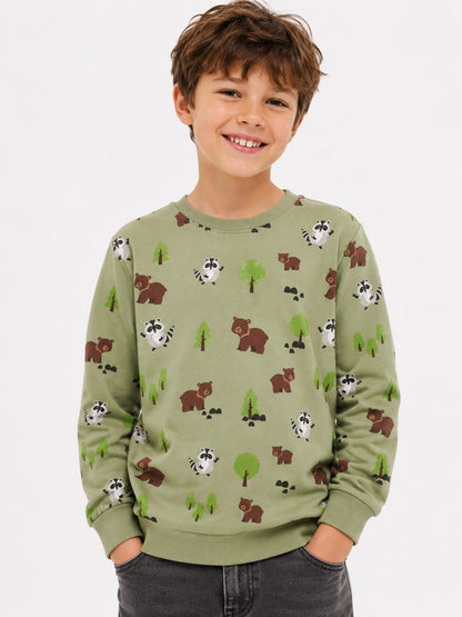 Boys Pullover Green Sweatshirt
