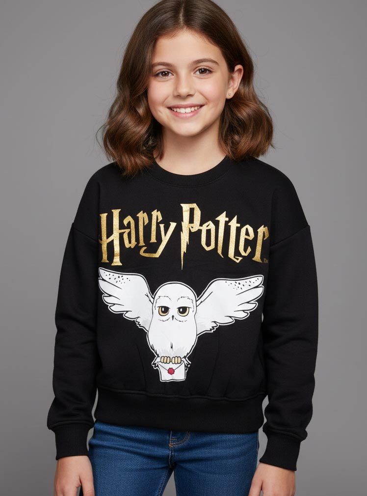 Child wearing a sweatshirt with an owl graphic as a dislpaying product for shopekeepers