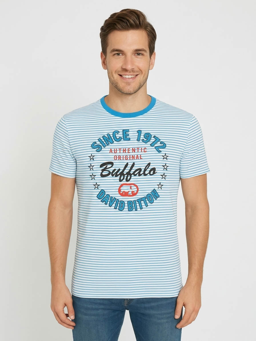 Mens Printed T Shirt Blue Striped