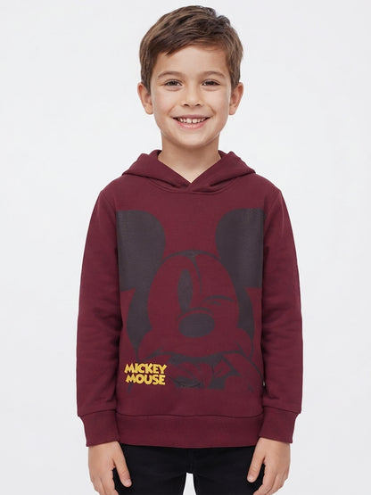 Boys Hooded Pullover Sweatshirt