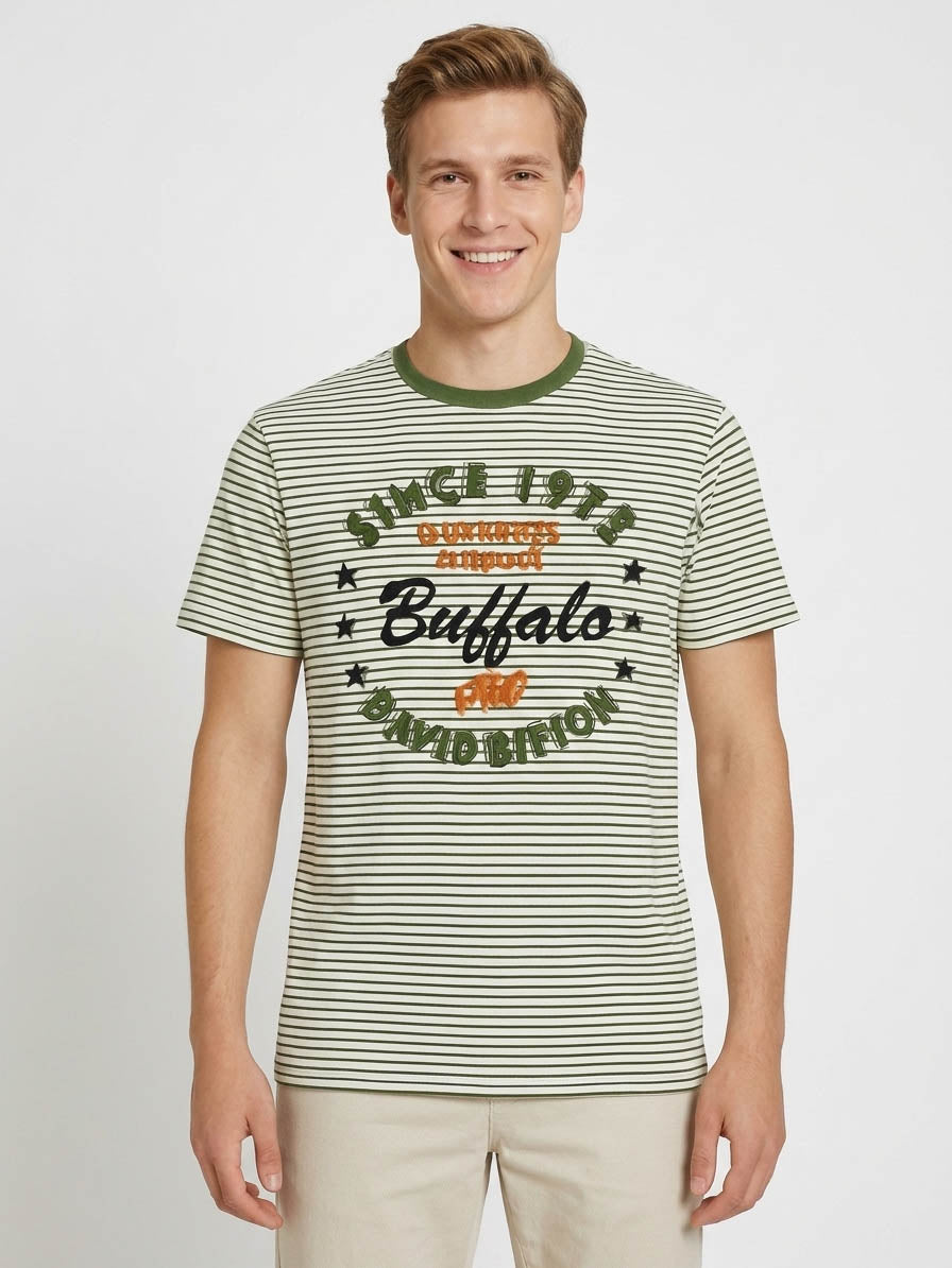 Mens Printed T Shirt Green Striped