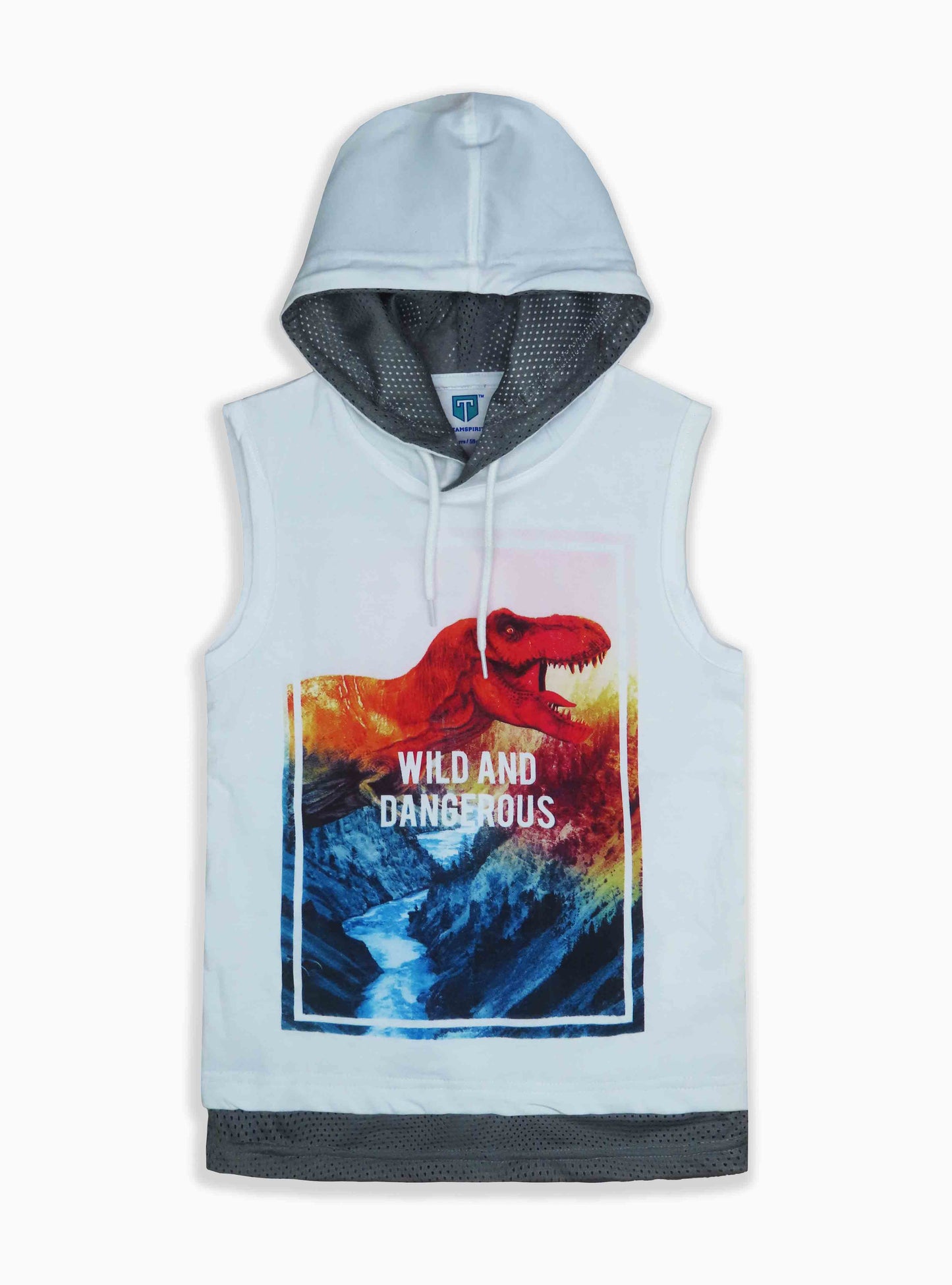 Boys Sleeveless Hoodies