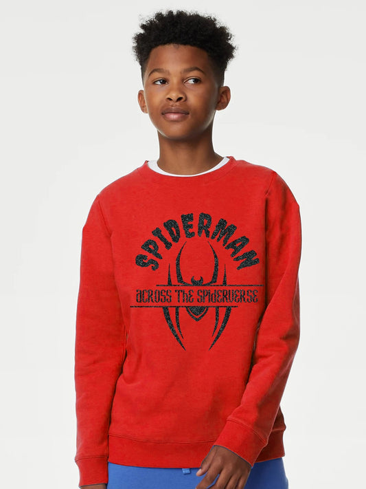 Boys Pullover Sweatshirt