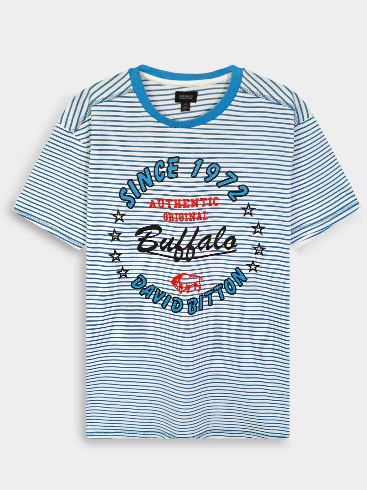 Mens Printed T Shirt Blue Striped