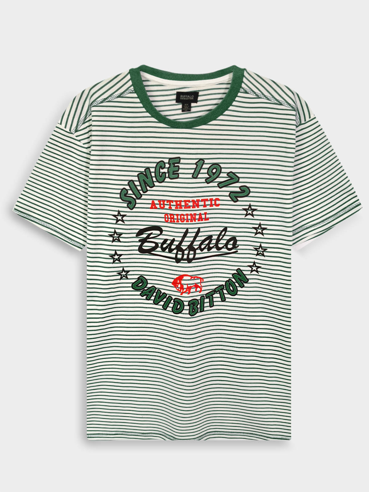 Mens Printed T Shirt Green Striped