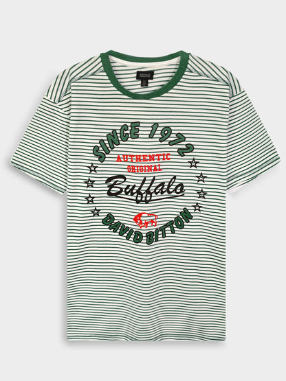Mens Printed T Shirt Green Striped