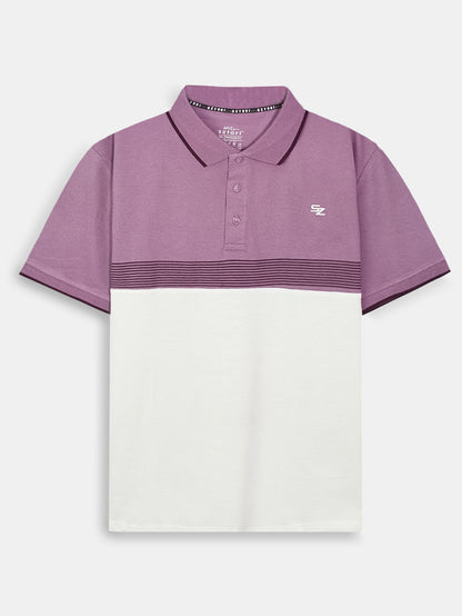 Mens Striped Plus Size Polos
